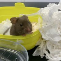 Pets at Home Huddersfield Waterloo ico