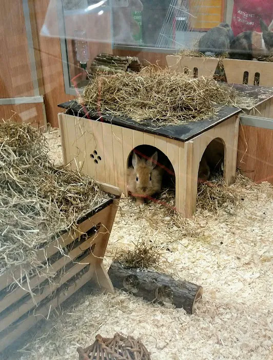 Pets at Home Huddersfield Waterloo Picture 5