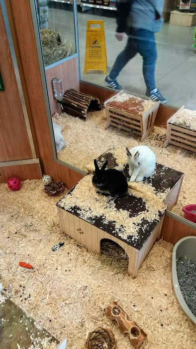 Pets at Home Huddersfield Waterloo Picture 6