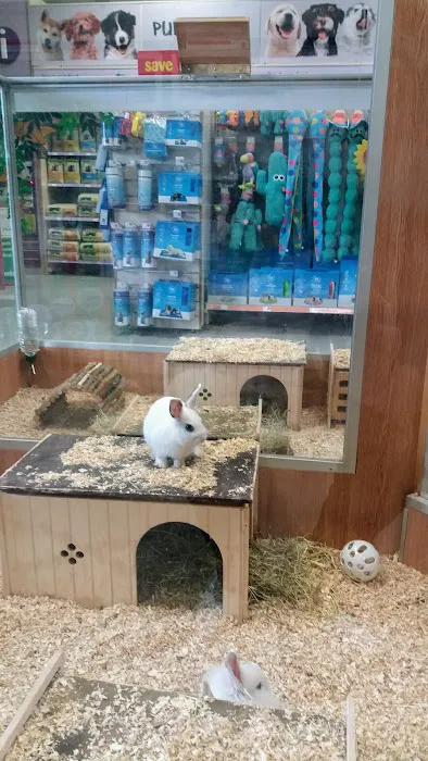 Pets at Home Huddersfield Waterloo Picture 4