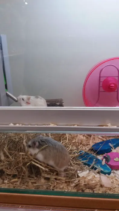 Pets at Home Huddersfield Waterloo Picture 10