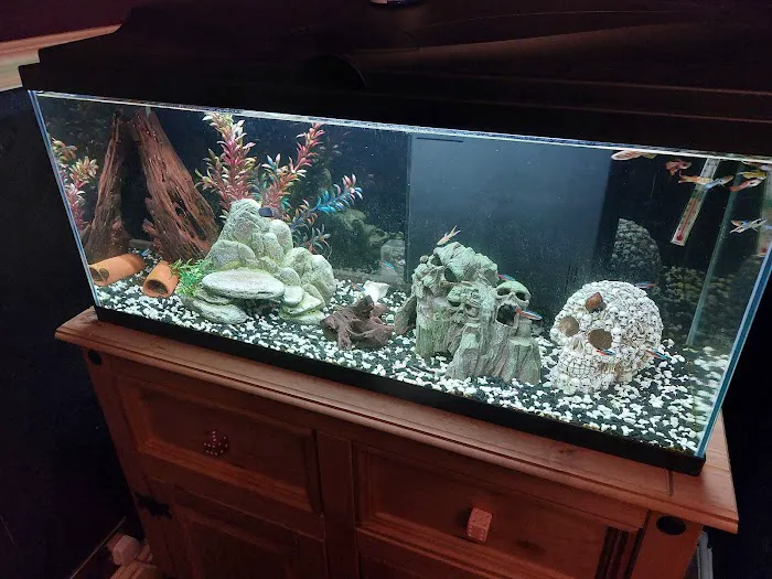 Peculiar Pets Picture 1