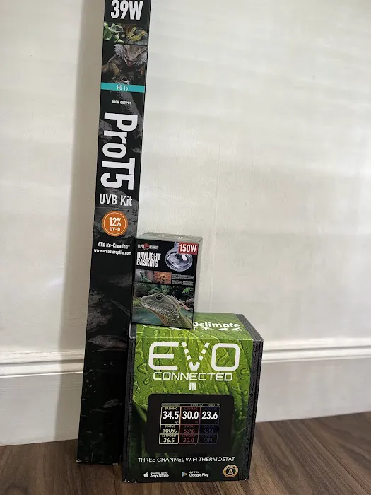 Peculiar Pets Picture 7