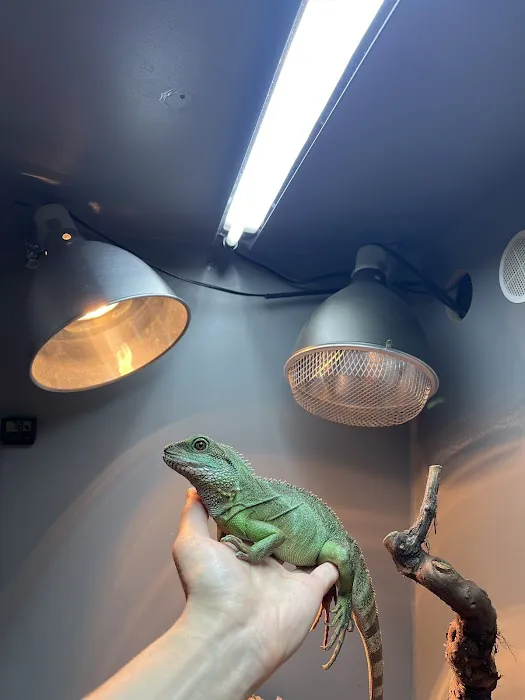 Peculiar Pets Picture 8