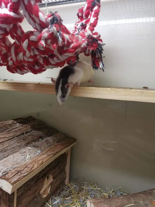 Pets at Home Dewsbury Picture 1