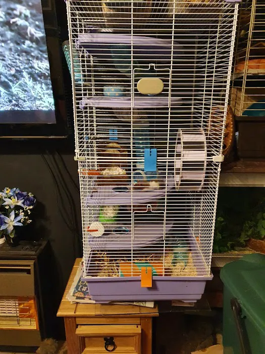 Pets at Home Dewsbury Picture 4