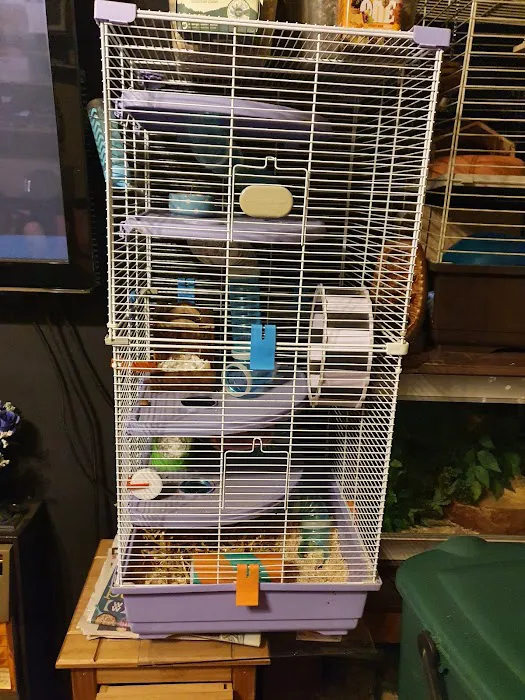 Pets at Home Dewsbury Picture 5