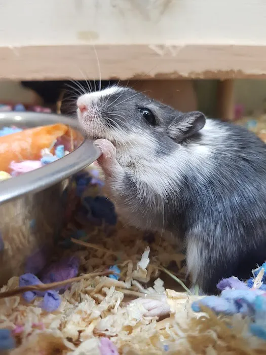 Pets at Home Dewsbury Picture 10