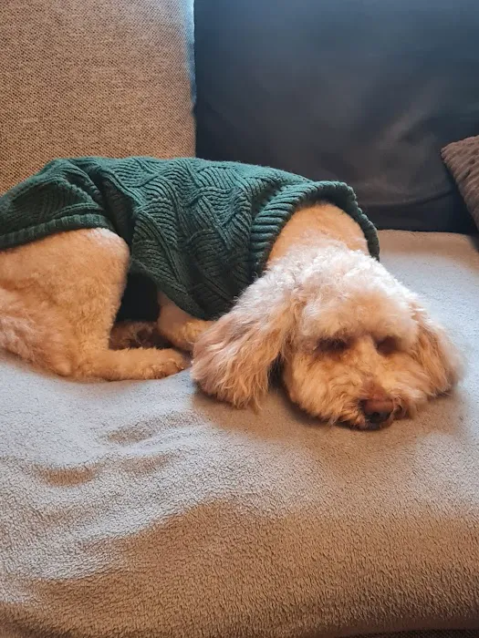 Pets at Home Dewsbury Picture 8