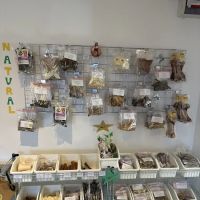 Best friend’s Raw feed ico