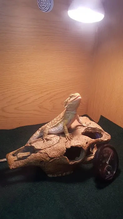 HD1 Aquatics and exotic pets Picture 3