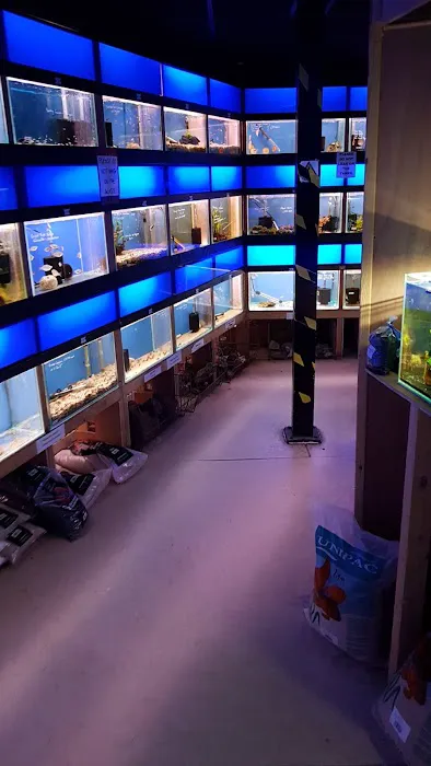 HD1 Aquatics and exotic pets Picture 7