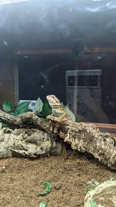 HD1 Aquatics and exotic pets Picture 9