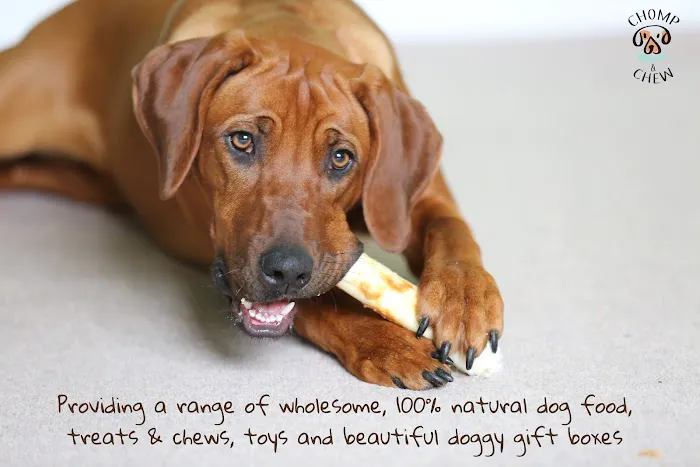 Chomp and Chew Limited Picture 1