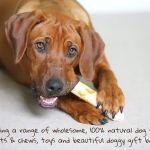 Chomp and Chew Limited