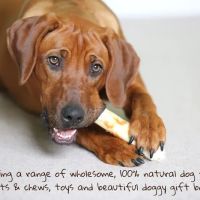 Chomp and Chew Limited ico