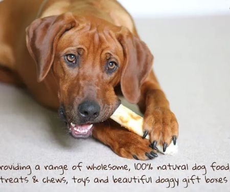 Chomp and Chew Limited