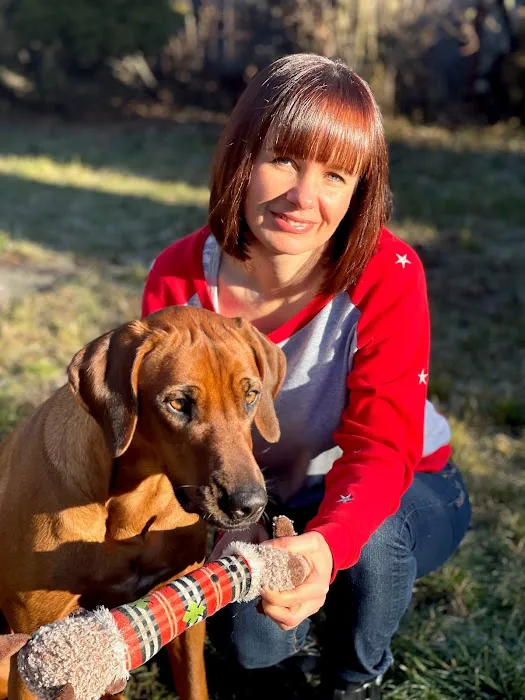 Chomp and Chew Limited Picture 2