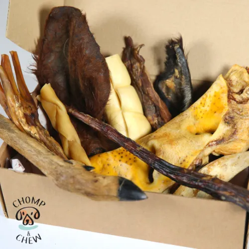 Chomp and Chew Limited Picture 8