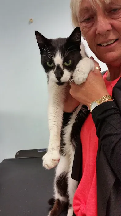 Cardiff PDSA Pet Hospital Picture 5