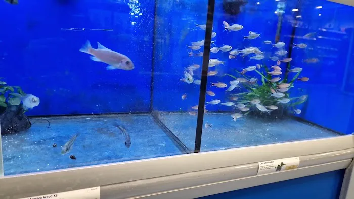 Pets at Home Huddersfield Picture 9