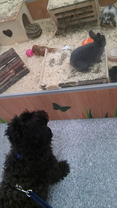 Pets at Home Huddersfield Picture 8