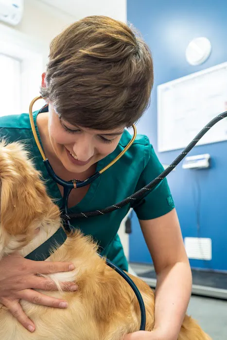 Park Veterinary Group, Penarth Picture 9