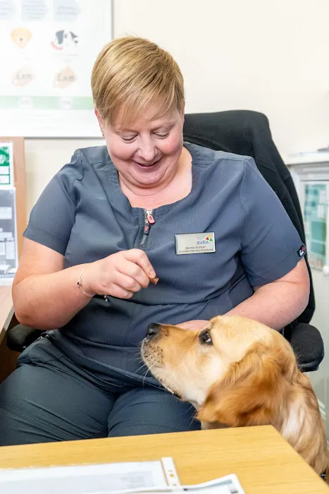 Park Veterinary Group, Penarth Picture 10
