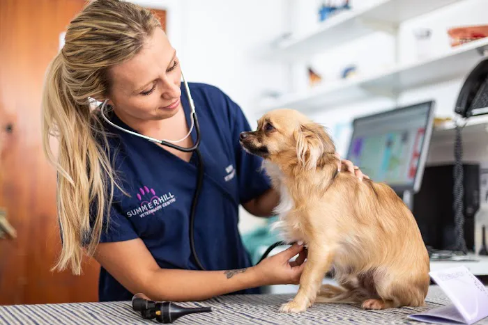 Heath Vets - Penarth Picture 1