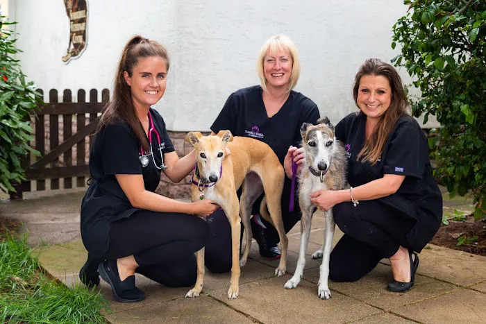 Heath Vets - Penarth Picture 5