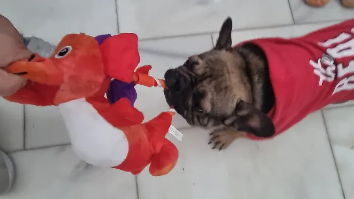 Bark n Bite Picture 1