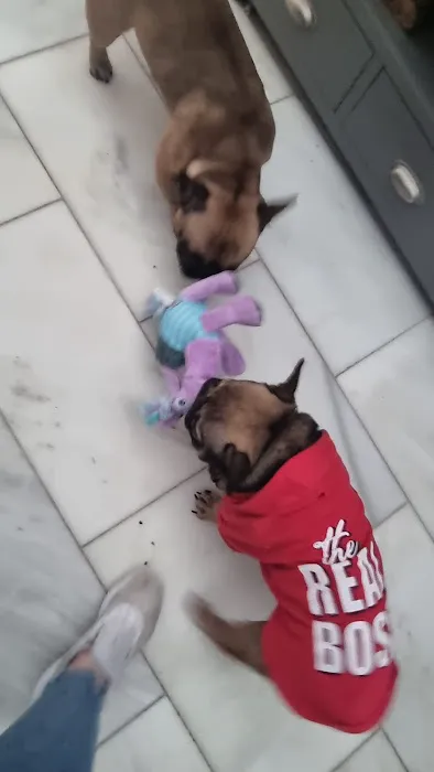 Bark n Bite Picture 2