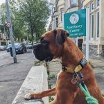 Marlborough Road Veterinary Centre