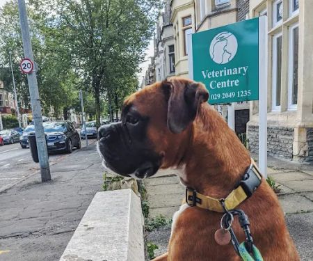 Marlborough Road Veterinary Centre