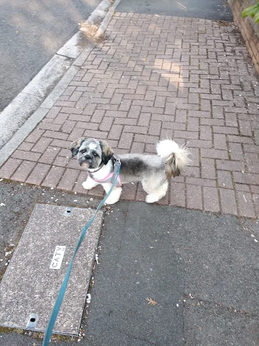 Marlborough Road Veterinary Centre Picture 7