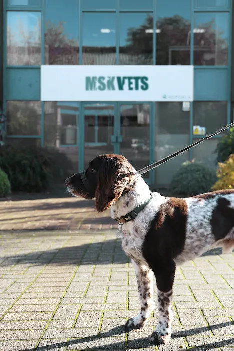 MSK Vets Picture 8