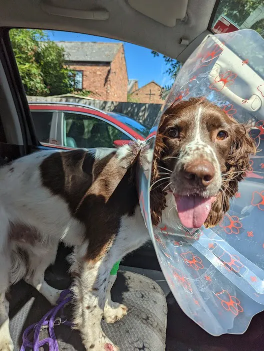 Kings Veterinary Centre Picture 1