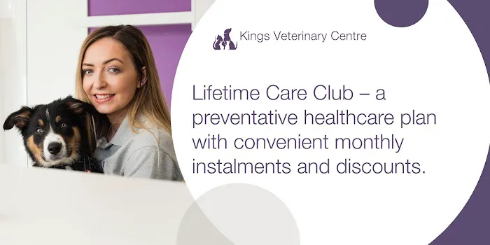 Kings Veterinary Centre Picture 9