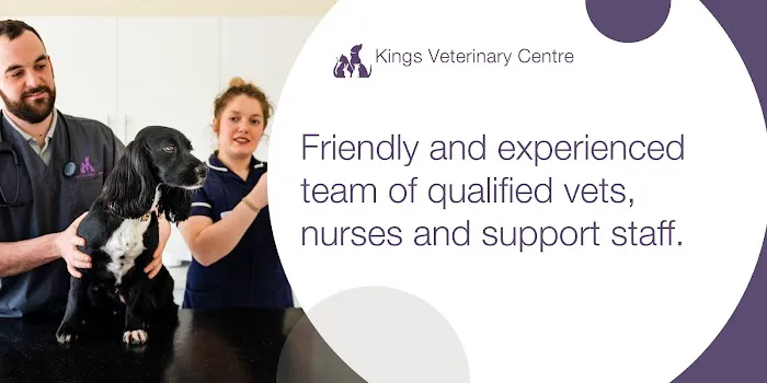 Kings Veterinary Centre Picture 10