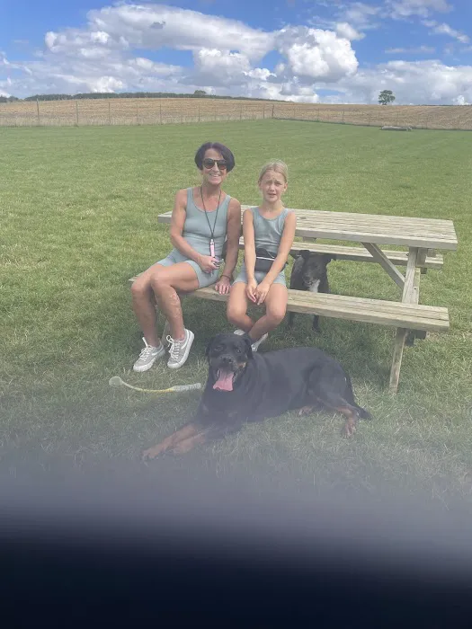 Melton Vets Picture 7