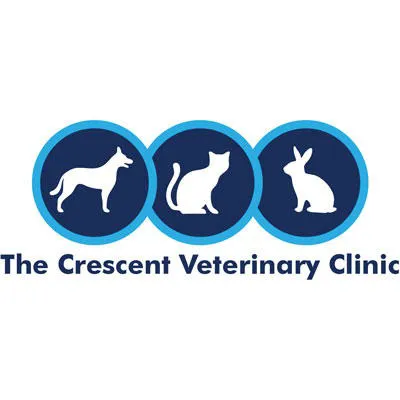 Crescent Veterinary Clinic - Melton Mowbray Picture 6
