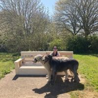 Buena Vista Boarding Kennels & Cattery ico