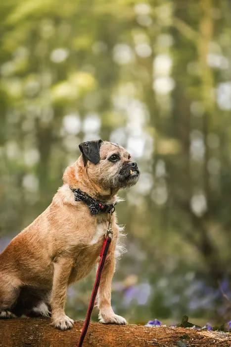 All About Enrichment Picture 5