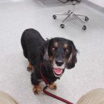 Torrington Orthopaedics