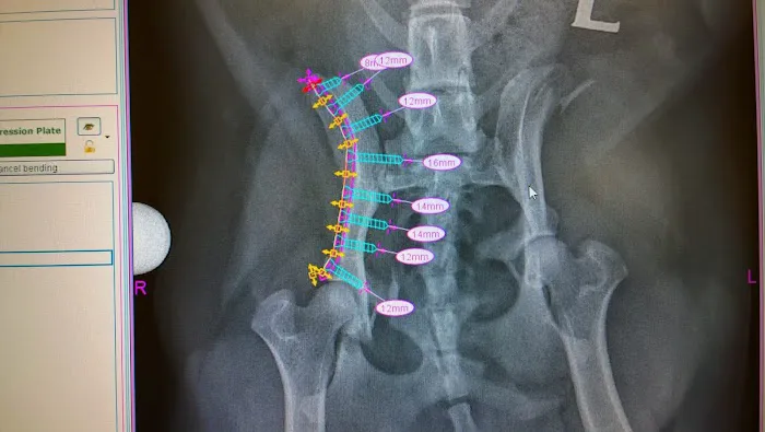 Torrington Orthopaedics Picture 5