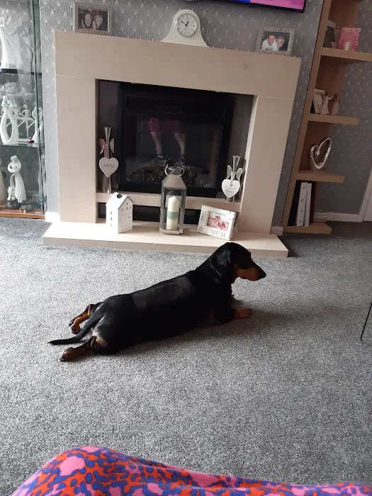Donaldson's Vets Ltd Picture 9