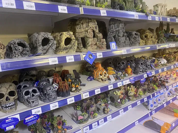 Maidenhead Aquatics Leeds South Picture 3