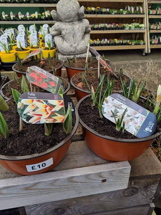 Maidenhead Aquatics Leeds South Picture 1