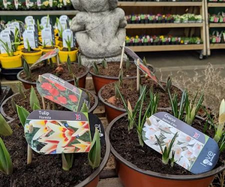 Maidenhead Aquatics Leeds South