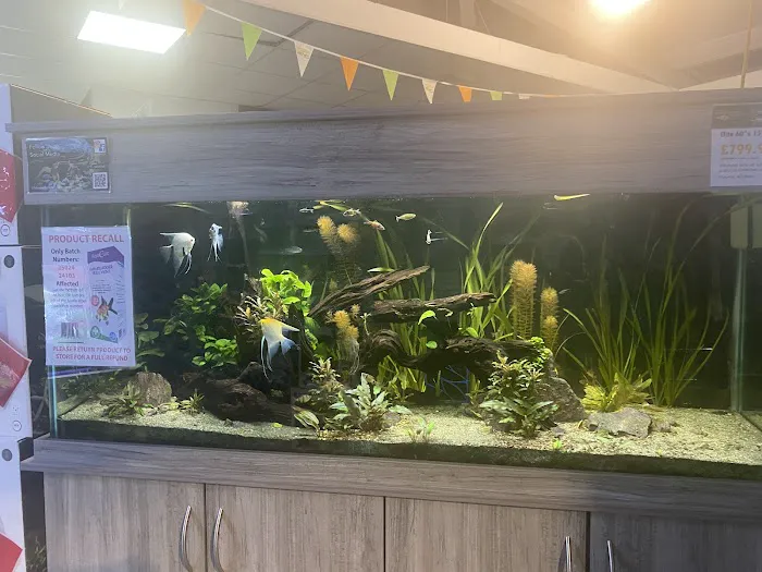 Maidenhead Aquatics Leeds South Picture 4